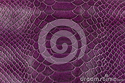 Purple snake skin texture. Abstract background and texture for design Stock Photo