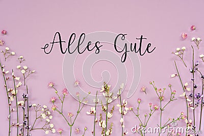 Purple Spring Flower Arrangement, German Text Alles Gute Means Best Wishes Stock Photo