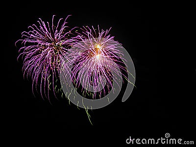 Abstract Purple Squiggly Fireworks, Black Sky Stock Photo