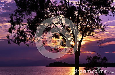 Purple sunset scenery at Dreams island Eretria Euboea Greece Stock Photo