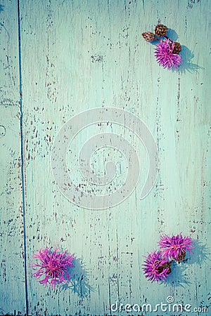Purple thistle flowers on old wooden board, vintage colors Stock Photo