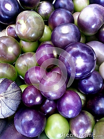 Purple Tomatillo Stock Photo