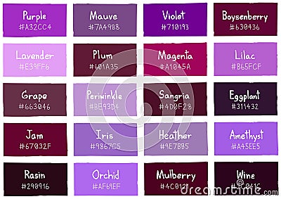 Purple Tone Color Shade Background with Code and Name Vector Illustration