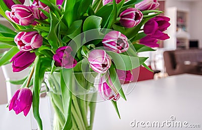 Purple tulips in a glass vase in bright living room Stock Photo