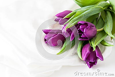 Purple tulips on silk Stock Photo