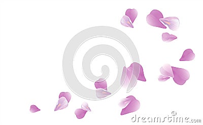 Purple Violet flying petals isolated on White background. Sakura Roses petals. Vector EPS 10 cmyk Vector Illustration