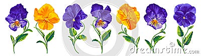 Set of vector realistic flowers Pansies, Viola. Vector Illustration