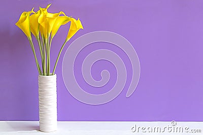 Purple wall with calla lily yellow flower on shelf white wood, Stock Photo