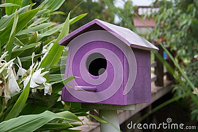 Purple Wooden bird houses beside the river Stock Photo