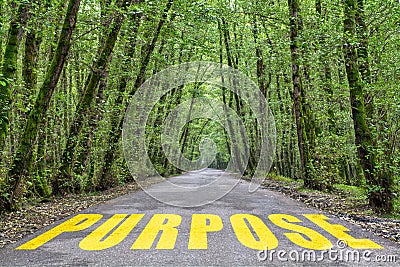 Jungle road to purpose Stock Photo