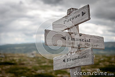 pursue financial freedom signpost outdoors Stock Photo