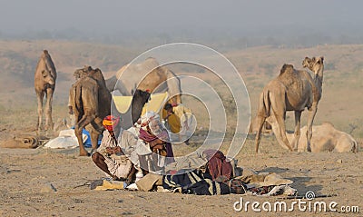 Puskar Camel Fair November 2009 - 10 Editorial Stock Photo