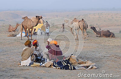 Puskar Camel Fair November 2009 - 3 Editorial Stock Photo