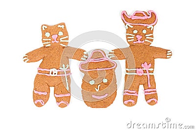 Puss in Boots gingerbread cookie Stock Photo