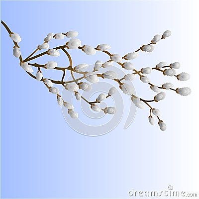 willow branch spring background vector Vector Illustration