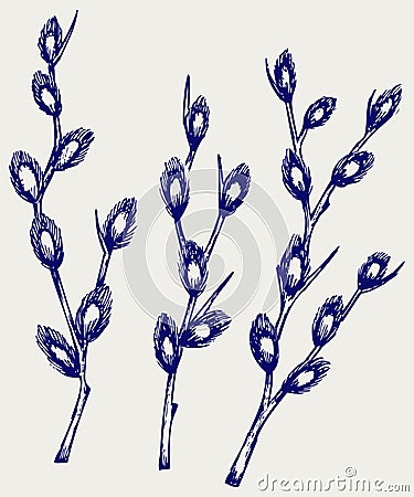 willow branches Vector Illustration