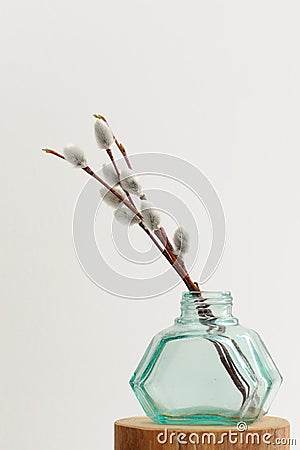 willow twigs in green glass jar vase on white background Stock Photo