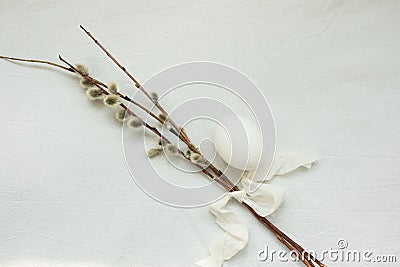 willow twigs and white egg on white cotton fabric, Easter concept, purity, minimalistic Stock Photo