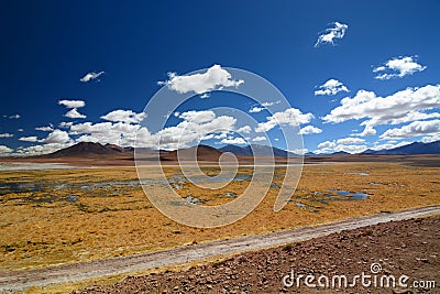 Putana river. San Pedro de Atacama. Antofagasta Region. Chile Stock Photo