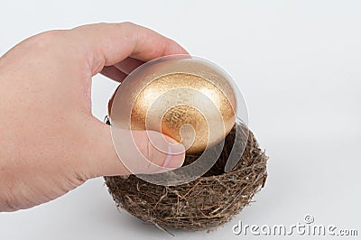 Putting golden egg in nest Stock Photo