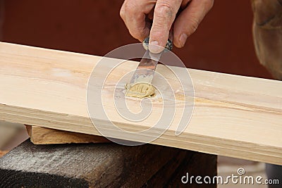 Putty knife in old man`s hand. Removing paint from a wood surface. Preparation of boards before impregnation with Stock Photo