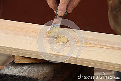 Putty knife in old man`s hand. Removing paint from a wood surface. Preparation of boards before impregnation with Stock Photo