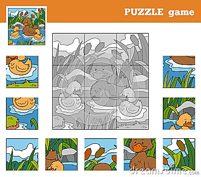 Puzzle Game for children with animals (ducks) Vector Illustration