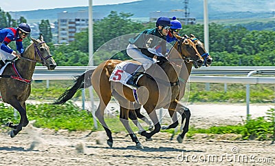 Horse race for the Open prize among akhal-teke horses Editorial Stock Photo