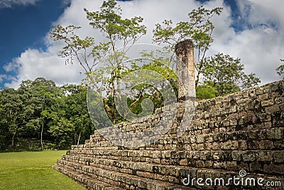 Pyramid stairs and Carved Stella in Mayan Ruins - Copan Archaeological Site, Honduras Editorial Stock Photo