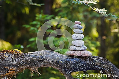 Pyramid stones balance on a tree trunk in the forest. Pyramid in focus, forest background is blurred Stock Photo
