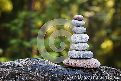 Pyramid stones balance on a tree trunk in the forest. Pyramid in focus, forest background is blurred Stock Photo