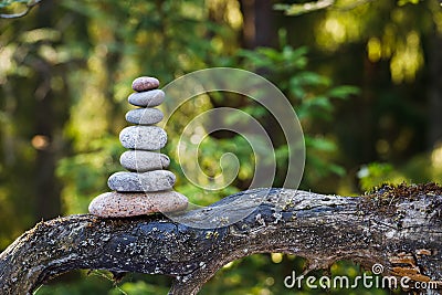 Pyramid stones balance on a tree trunk in the forest. Pyramid in focus, forest background is blurred Stock Photo