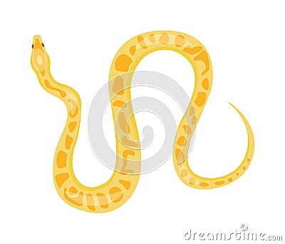Python boa snake Vector Illustration