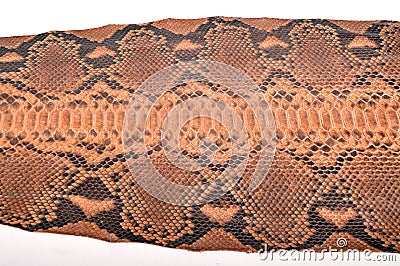 Python leather Stock Photo