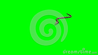 Snake Attack - Python Green Screen Stock Video - Video of animation, green:  188017499