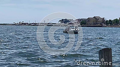 Pêcheur vérifiant les pièges à crabes dans la grande baie sud par les quais babylon clips vidéos Pêcheur vérifiant les pièges à crabes dans la grande baie sud par les quais babylon clips vidéos