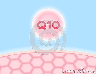 Q 10 icon and skin Vector Illustration