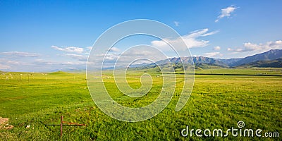 Qilian Plateau meadow in summer Stock Photo