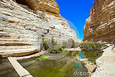 The Qing River in the Negev desert Stock Photo