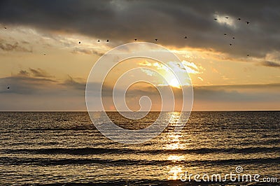 Qinghai Lake with geese Stock Photo