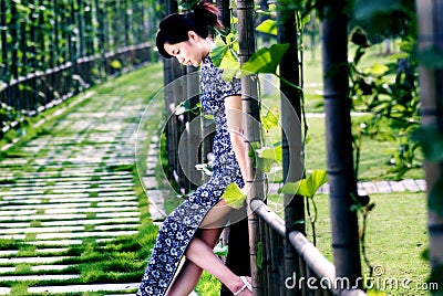 Qipao woman and grape frame Stock Photo