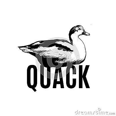 Quack. Vector poster with hand drawn illustration of duck isolated. Vector Illustration