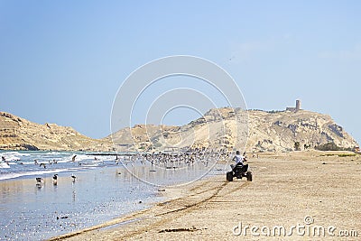 A quad bike and seagulls on the beach Editorial Stock Photo