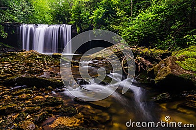 Quadrul falls, Martins Fork Wildlife Management Area Stock Photo