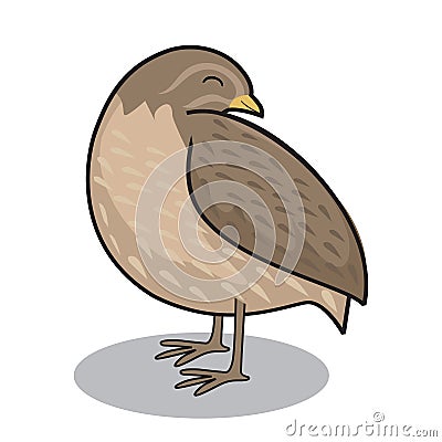 Quail Bird Cartoon Sleeping Animals Illustration Vector Illustration