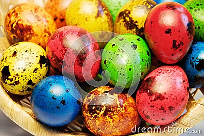 Quail Easter eggs in a basket Stock Photo