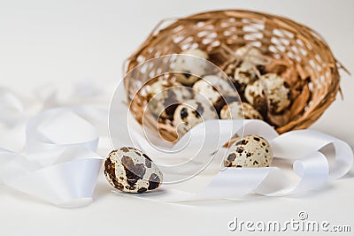 Quail egg on the background of a basket with a group of eggs and white ribbons Stock Photo