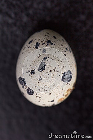 Quail egg on a black background Stock Photo
