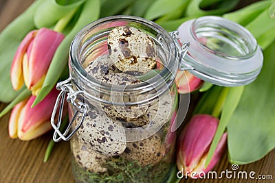 Quail egg in the glass Stock Photo