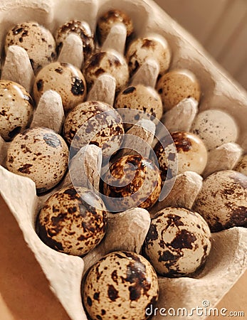 Quail eggs bird diet food kitchen craft background macro photo Stock Photo